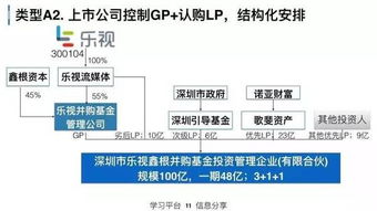 企业扩张的双翼，分公司与子公司解析
