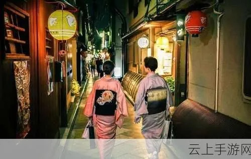 日本视频文化的魅力探索