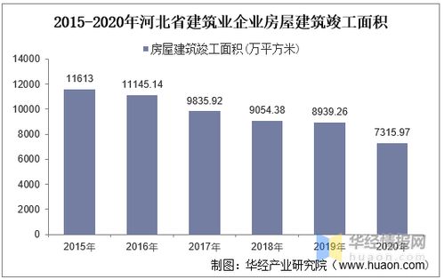 仓鼠价格，多维度的深入解析