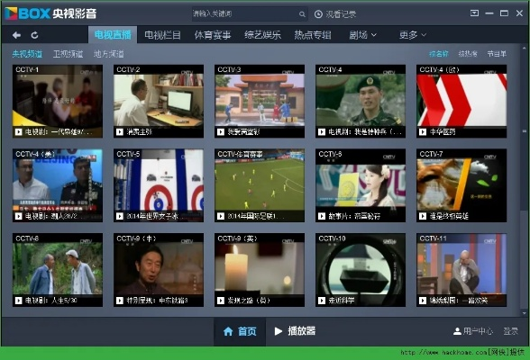 探索 IITV 的无限可能