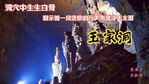 色qingwang，深入探索与理解之旅