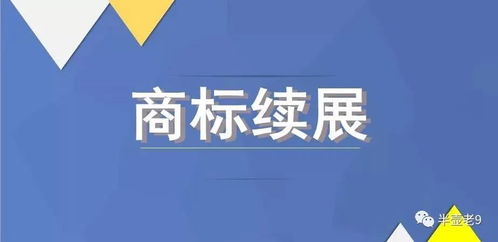 商标注册的有效期与重要性解析