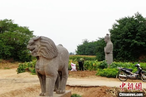 北宋皇陵，历史见证与文化瑰宝