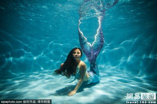 守护神秘美人鱼，责任与行动并行