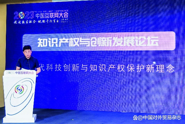 知识产权保护，创新与发展的坚实基石