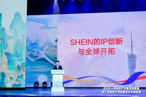 保护知识产权助力创新发展——国家知识产权局的使命与成就