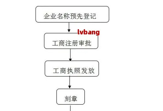 网络公司注册流程全解析