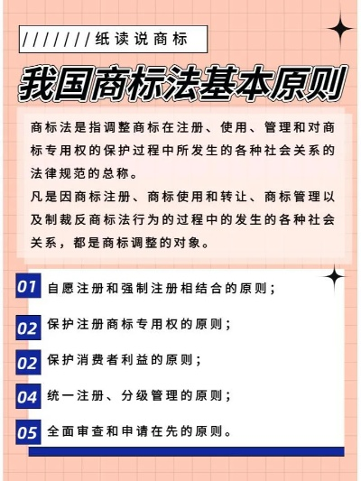 商标法实施条例，商标权益的坚实保障