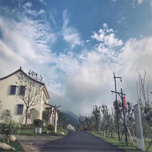 康复医院费用剖析及应对之策