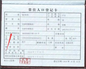查户口所在地的过程及其重要性解析
