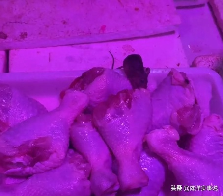 女子买菜惊现老鼠啃食鸡腿，令人作呕