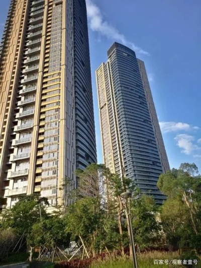 深圳某小区豪华建筑揭秘