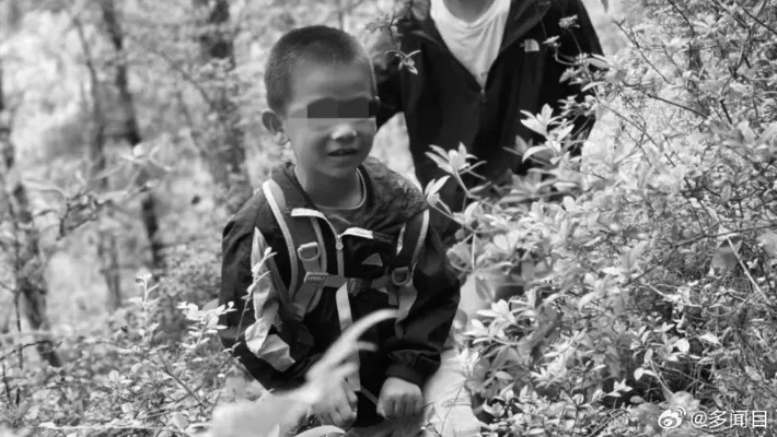 自闭症男童离世引发社会关注，机构首次正面回应引发关注热议