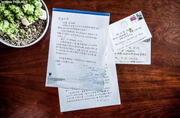 生命的信笺，少年勇敢抉择的篇章
