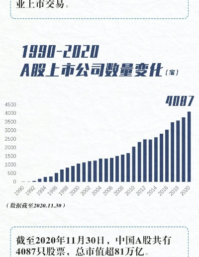 2023064，数字背后的奥秘探寻