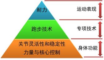 论法体，秩序与平衡的基石