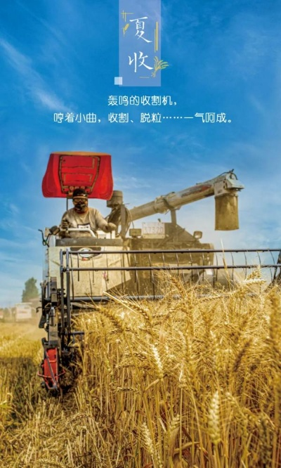 一年到头，忙碌与收获的交织