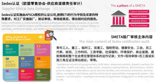 中山教育信息网，教育窗口与资源宝库